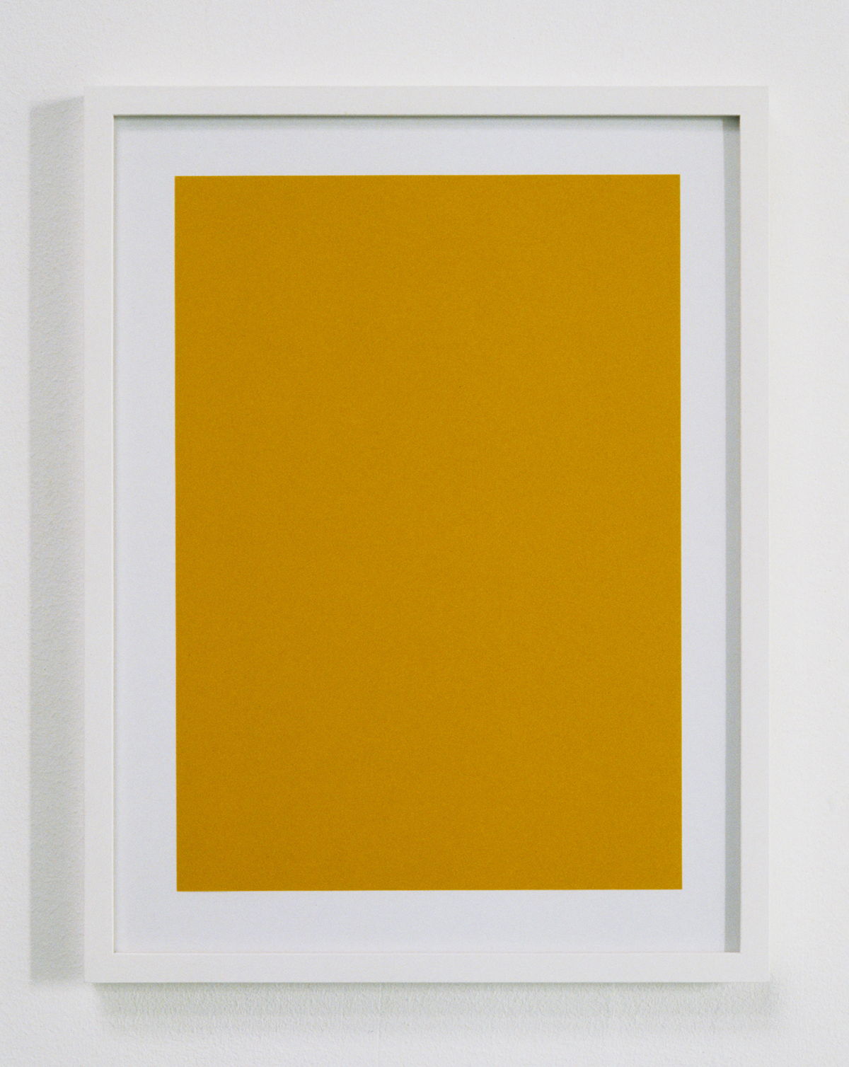 Untitled 1997 (Sunflower) sn53314 Wjm Kok
